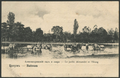 Лот 2472 - Батум - Александровский сад и озеро