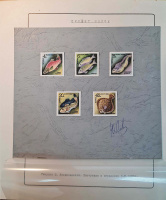 Лот 1694 - 1983. Неутверждённые проекты марок к серии №5346-5350, промысловые рыбы
