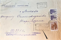 Лот 0535 - 1928. Спешная почта Новосибирск (Почтовое Агентство) - Москва