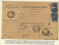 Лот 0869 - 1920. Бланк к посылке из Рогачёва (Могилёвская) в Москву