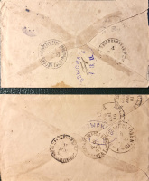 Лот 0599 - 1891-1892. Даньковская Земская почта. Доплатные земские почтовые отправления
