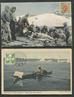 Лот 0400 - Арктические сюжеты. 2 открытки