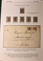 Лот 0580 - Лист выставочной коллекции с презентацией марки Шм. №18, 6 марок и отправление