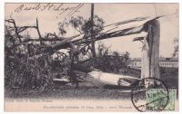 Лот 3439 - Последствия урагана 16 июня 1904 г. под Москвой
