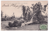 Лот 3438 - Последствия урагана 16 июня 1904 г. под Москвой
