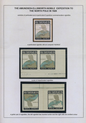 Лот 0222 - Выставочная коллекция 'УМБЕРТО НОБИЛЕ И ЕГО ДИРИЖАБЛИ' (на 50 листах)