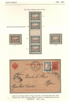 Лот 0815 - Лист выставочной коллекции с презентацией марки Шм. №22, шесть марок и отправление